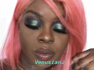 VenusianJ