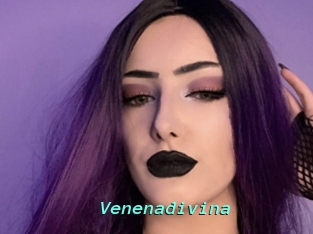 Venenadivina