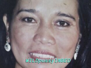WILDpussyINBED