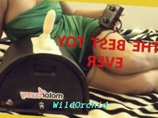 WildOrchid_