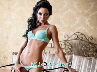 Wild_Caracal