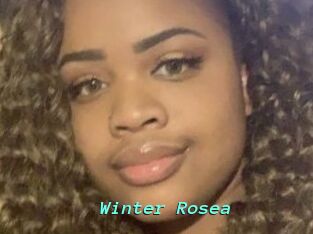 Winter_Rosea