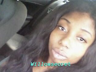 Willow_secret