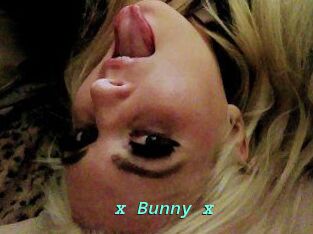 _x_Bunny_x_