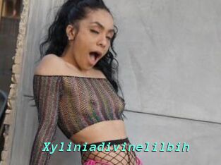 Xyliniadivinelilbih