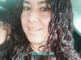 YECAOL23